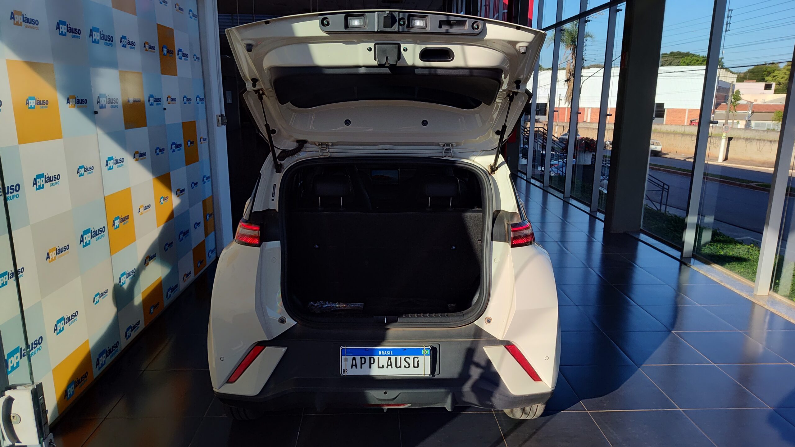 Byd Dolphin Mini - 38 KW ELÉTRICO